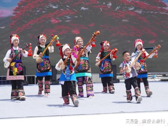 楚雄州非遗保护传承成效显著传统文化焕发新时代活力(图12)