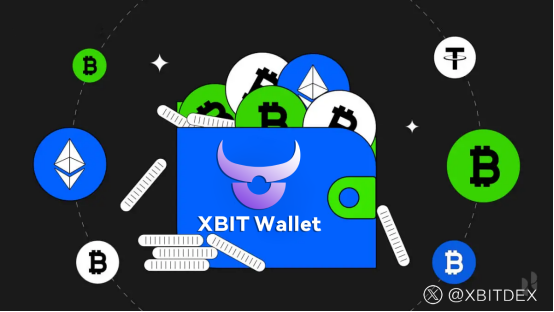 驾驭数字未来 解密去中心化钱包的趋势与XBIT Wallet数字资产篇章(图2)