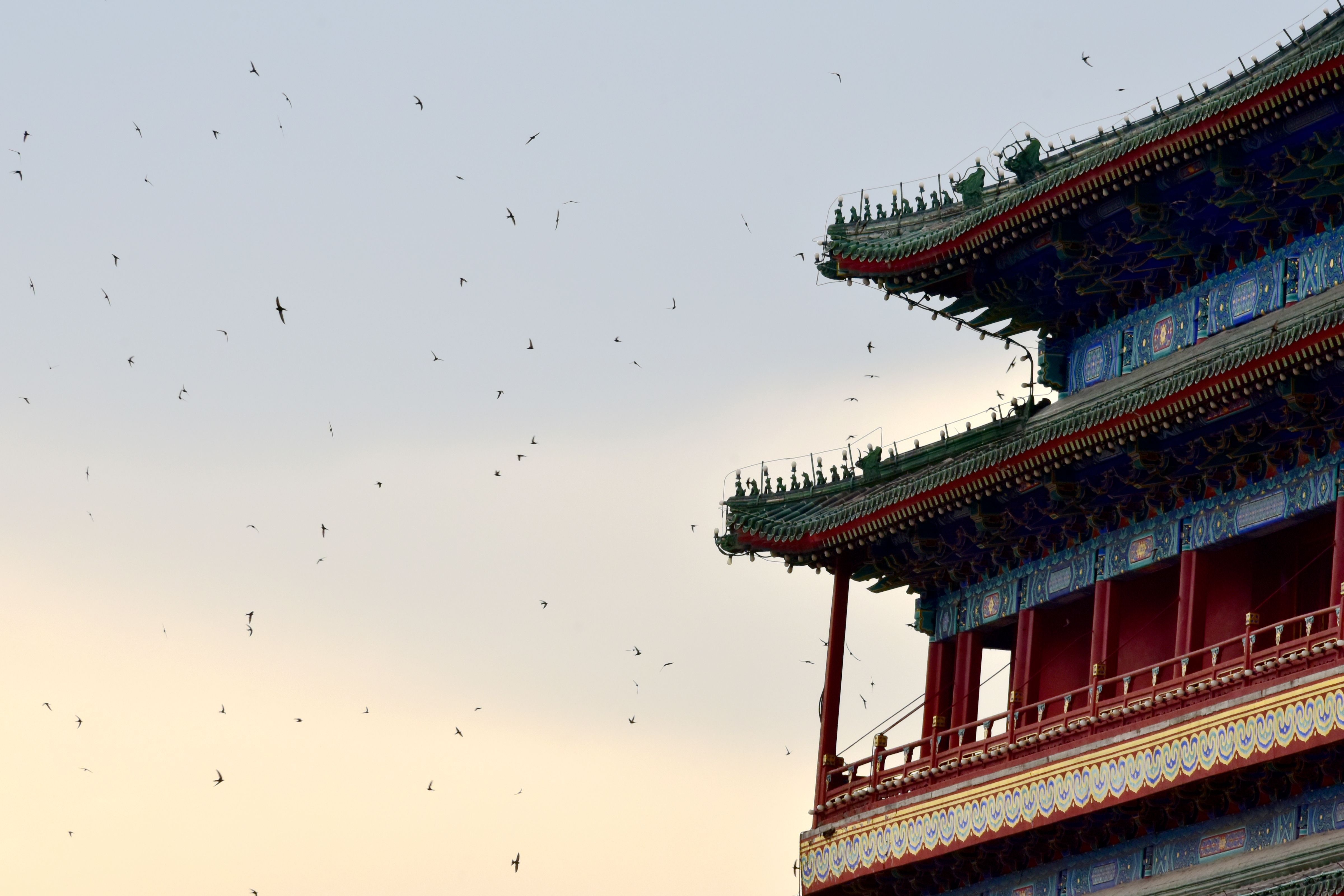 科技赋能古建修缮正阳门城楼有了3D等身像(图6)