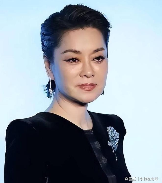 62岁毛阿敏放弃260亿遗产展现真正人间清醒生活态度(图14)