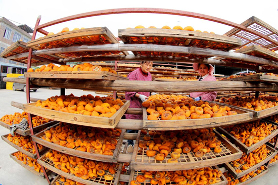 千年柿香海外 三产融合富瑶乡(图2)