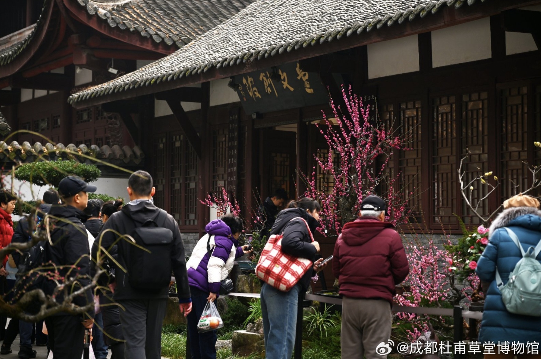9大主题场景+9大特色玩法！乐游成都新春玩法不重样(图3)