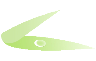 云南省委书记：欢迎大家旅居创业 生活追梦(图1)