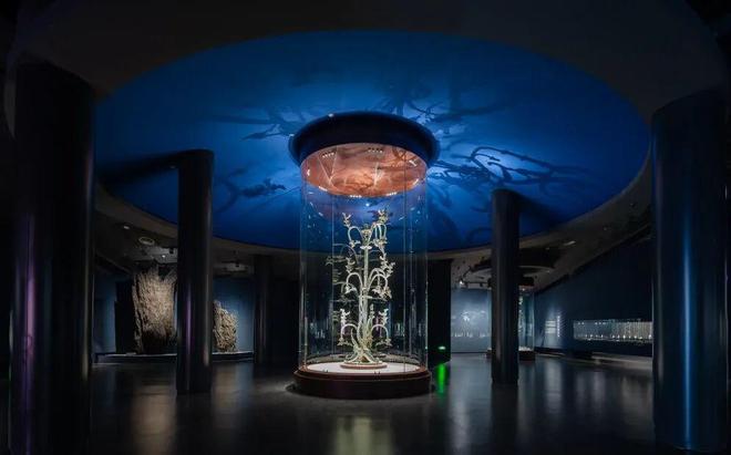 文脉同城·共护根魂 成都都市圈文化遗产保护利用交出同城化亮眼答卷(图2)