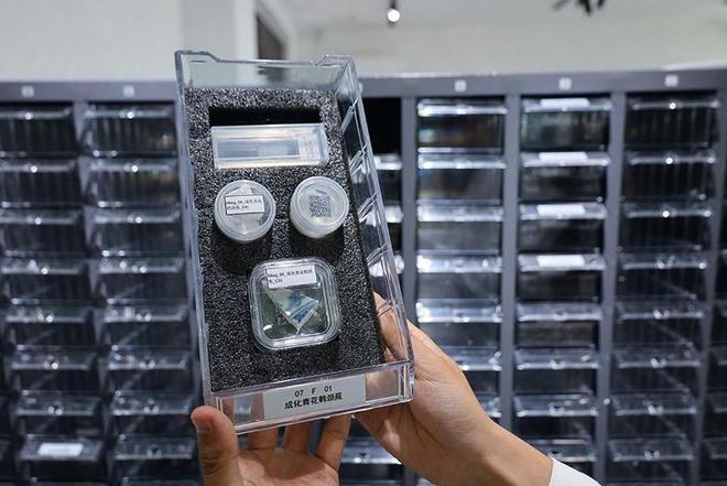 瞭望 让中国古陶瓷文明闪耀世界(图1)