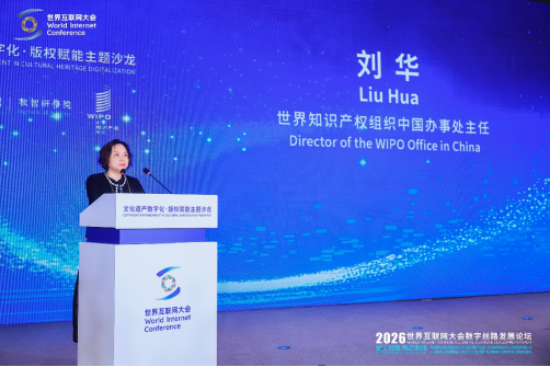 刘华：文化遗产是源头数字化是路径版权是放大器创意产业是结果(图1)