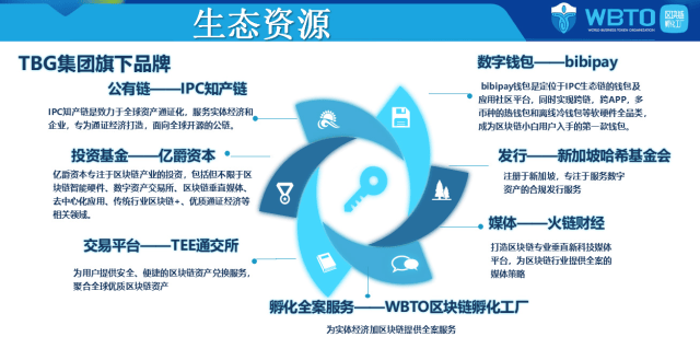 有福之州“长”出数字文旅“榕树”(图1)